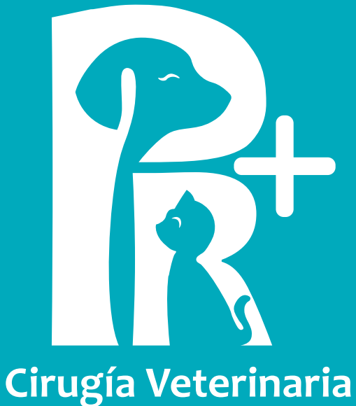 logo cirugia veterinaria