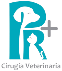 logo veterinaria