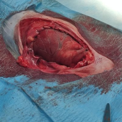 WhatsApp Image 2025-02-18 at 19.16.05 (1)