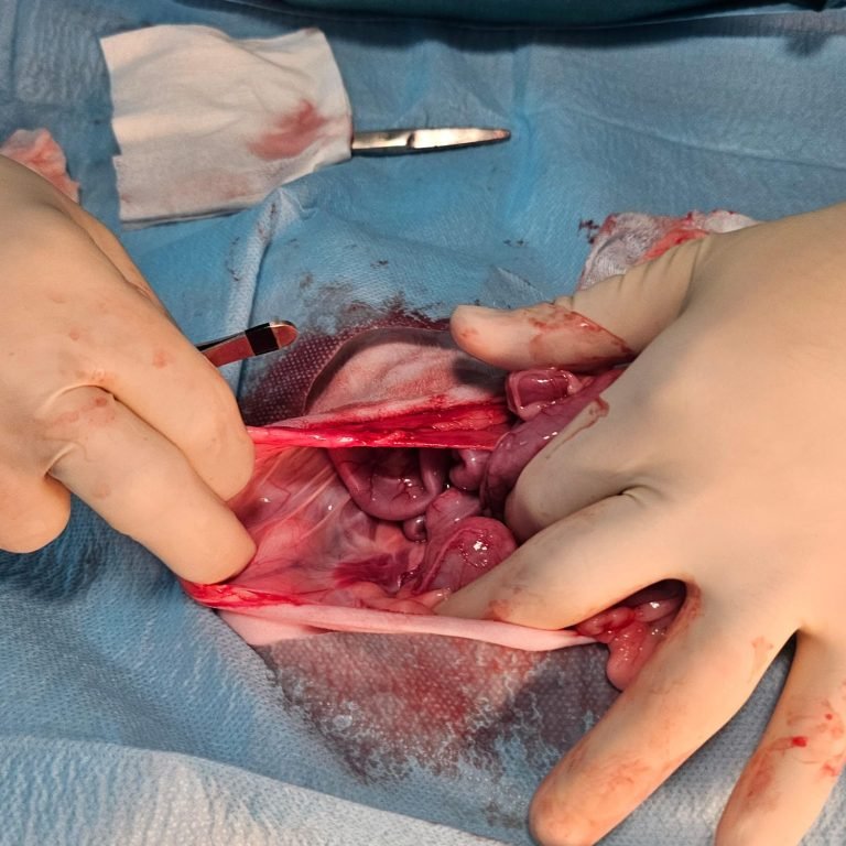 WhatsApp Image 2025-02-18 at 19.16.05 (2)