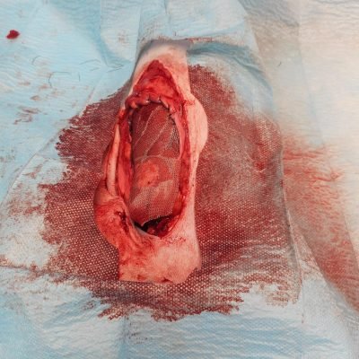 WhatsApp Image 2025-02-18 at 19.16.05 (3)