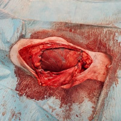 WhatsApp Image 2025-02-18 at 19.16.05 (4)