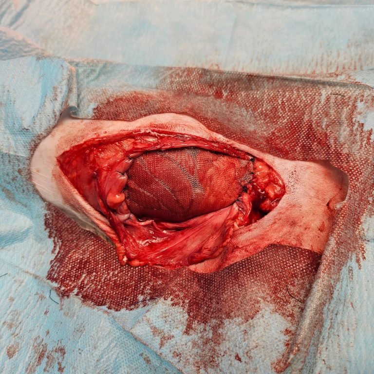 WhatsApp Image 2025-02-18 at 19.16.05 (4)