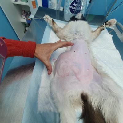 WhatsApp Image 2025-02-18 at 19.16.05