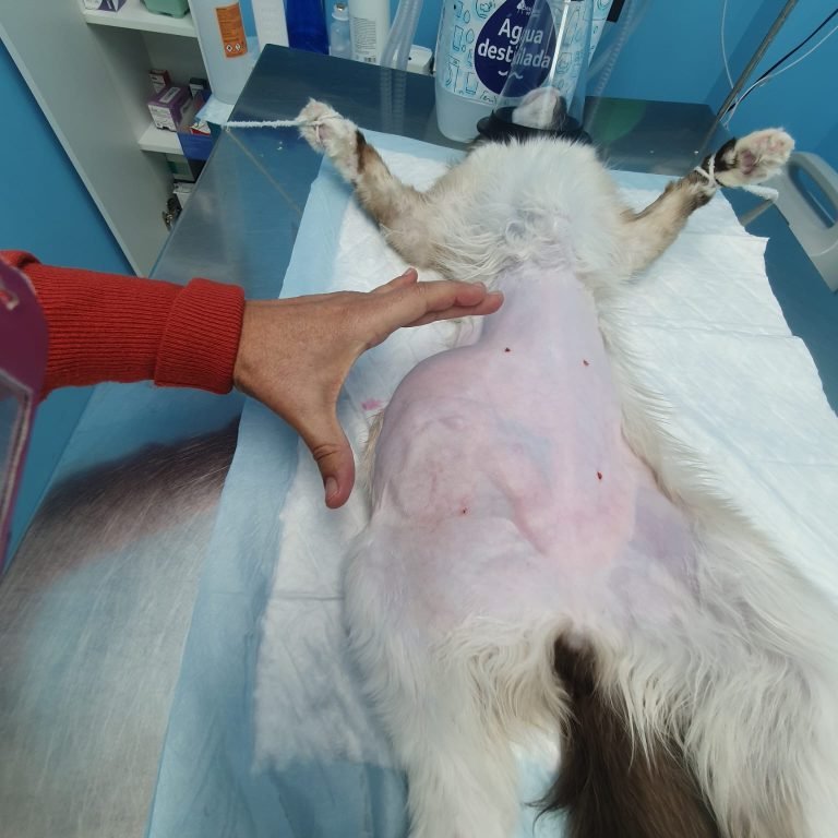 WhatsApp Image 2025-02-18 at 19.16.05