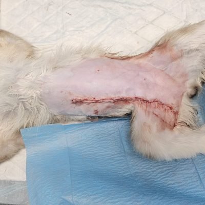 WhatsApp Image 2025-02-18 at 19.16.06 (1)