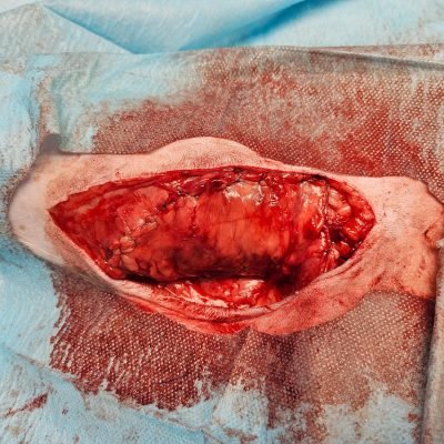 WhatsApp Image 2025-02-18 at 19.16.06